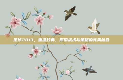 足球2013,重温经典,探索战术与策略的完美结合