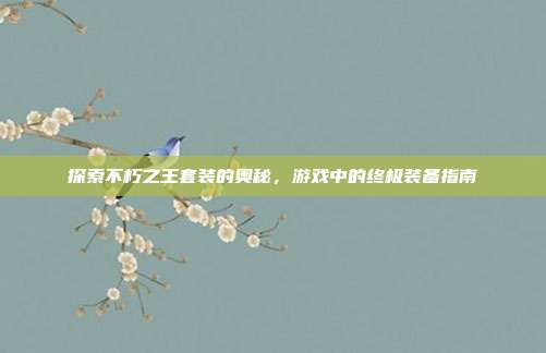 探索不朽之王套装的奥秘,游戏中的终极装备指南