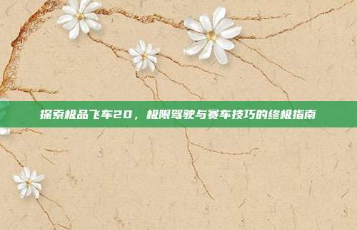 探索极品飞车20,极限驾驶与赛车技巧的终极指南