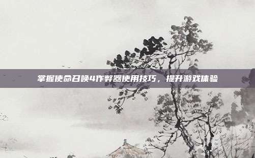 掌握使命召唤4作弊器使用技巧,提升游戏体验