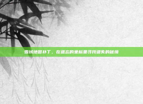 雪域地图补丁，在遗忘的坐标里寻找遗失的秘境