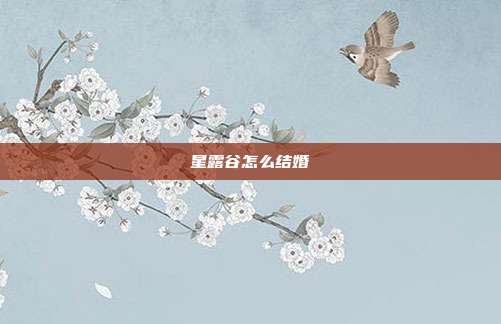 星露谷怎么结婚