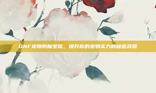 DNF宠物附魔宝珠，提升你的宠物实力的秘密武器