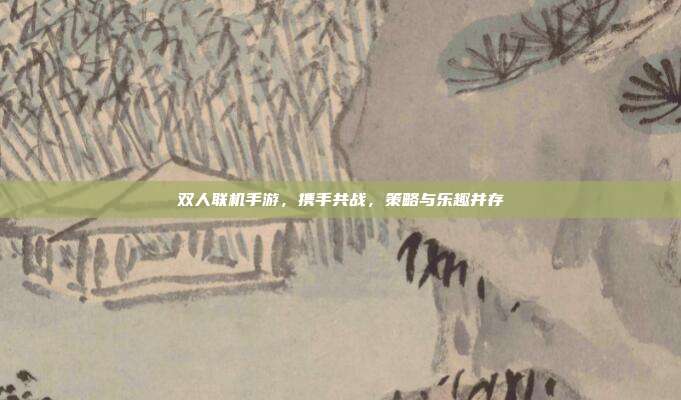 双人联机手游，携手共战，策略与乐趣并存