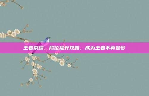 王者荣耀，段位提升攻略，成为王者不再是梦