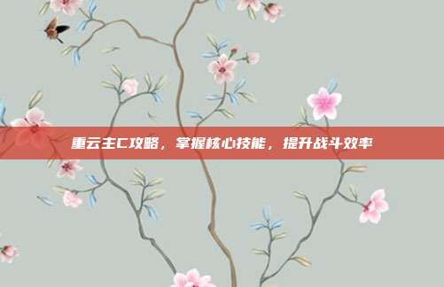 重云主C攻略,掌握核心技能,提升战斗效率