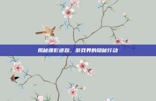 揭秘谍影迷踪,游戏界的隐秘行动