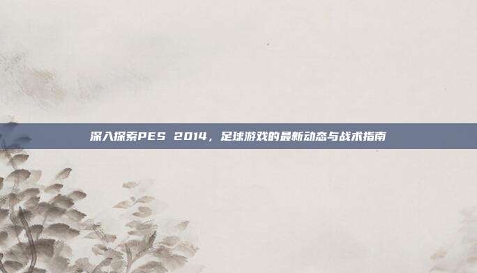 深入探索PES 2014，足球游戏的最新动态与战术指南