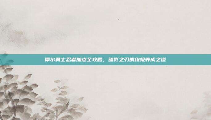 摩尔勇士忍者加点全攻略，暗影之刃的终极养成之道