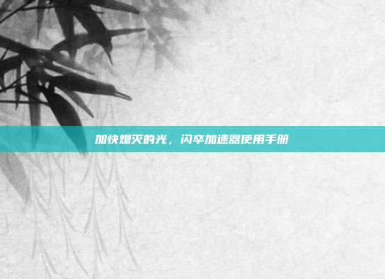加快熄灭的光，闪卒加速器使用手册