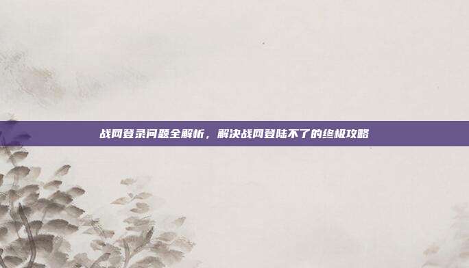 战网登录问题全解析,解决战网登陆不了的终极攻略