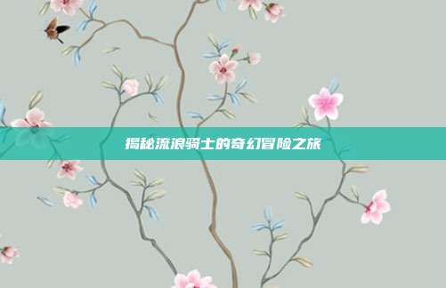 揭秘流浪骑士的奇幻冒险之旅