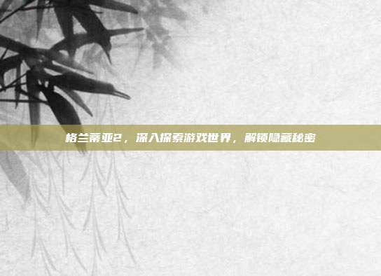 格兰蒂亚2,深入探索游戏世界,解锁隐藏秘密