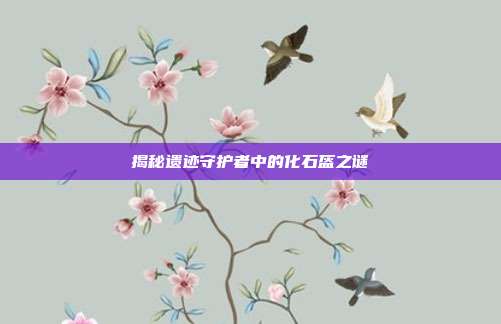 揭秘遗迹守护者中的化石盔之谜