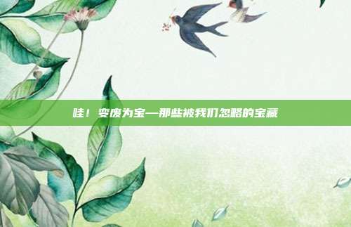 哇！变废为宝—那些被我们忽略的宝藏