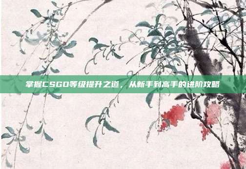 掌握CSGO等级提升之道,从新手到高手的进阶攻略