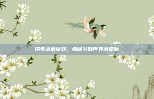 探索者的游戏,揭秘游戏世界的奥秘