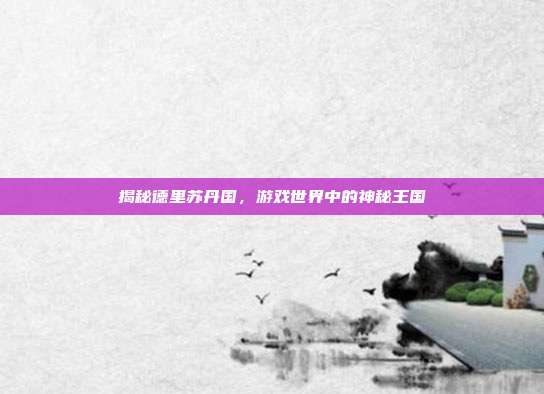 揭秘德里苏丹国,游戏世界中的神秘王国
