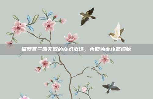 探索真三国无双的奇幻战场，官网独家攻略揭秘