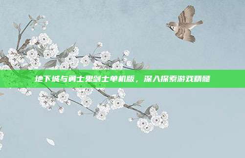 地下城与勇士鬼剑士单机版,深入探索游戏精髓