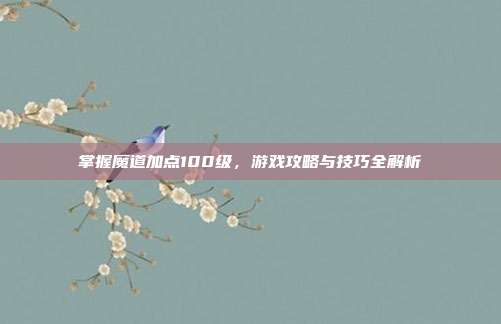 掌握魔道加点100级,游戏攻略与技巧全解析