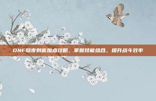 DNF隐夜刺客加点攻略,掌握技能组合,提升战斗效率