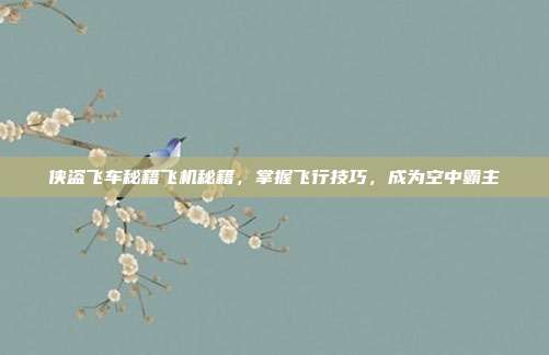 侠盗飞车秘籍飞机秘籍,掌握飞行技巧,成为空中霸主