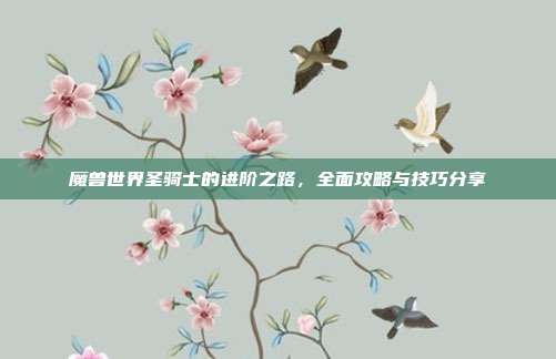 魔兽世界圣骑士的进阶之路,全面攻略与技巧分享