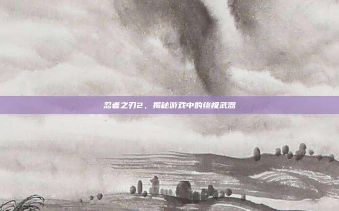 忍者之刃2,揭秘游戏中的终极武器