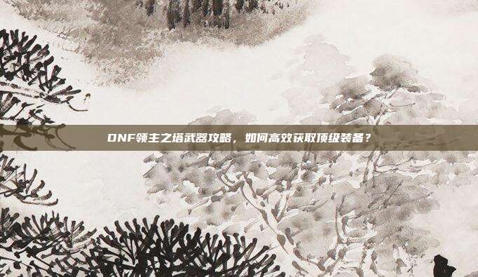 DNF领主之塔武器攻略，如何高效获取顶级装备？