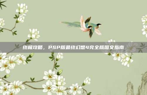 终极攻略,PSP版最终幻想4完全版图文指南