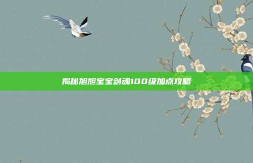 揭秘旭旭宝宝剑魂100级加点攻略