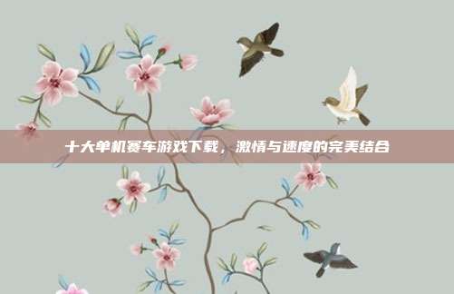 十大单机赛车游戏下载，激情与速度的完美结合