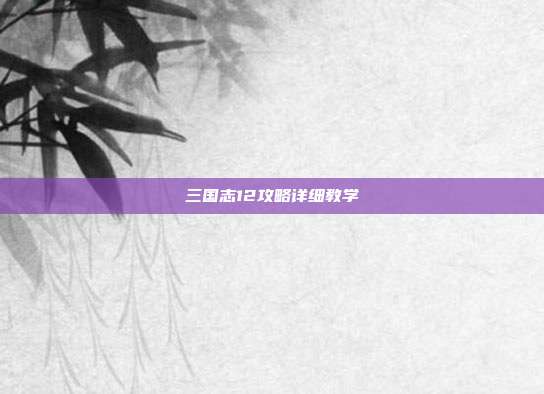 三国志12攻略详细教学