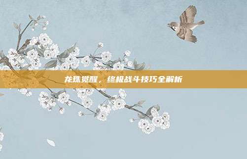 龙珠觉醒,终极战斗技巧全解析