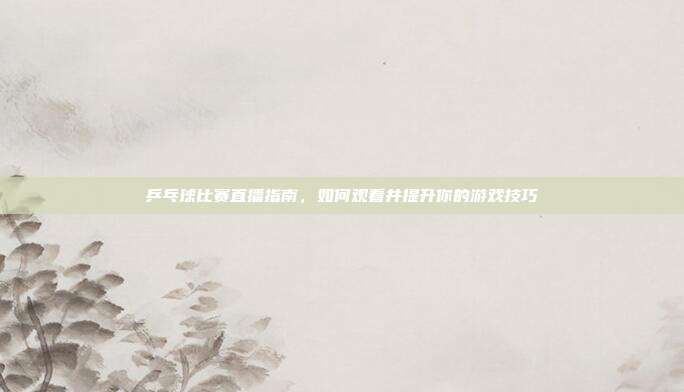 乒乓球比赛直播指南,如何观看并提升你的游戏技巧