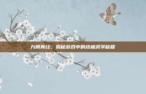 九阴真经,揭秘游戏中的终极武学秘籍