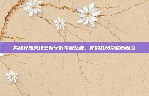 揭秘穿越火线全新军衔等级系统,你的战场荣耀新起点
