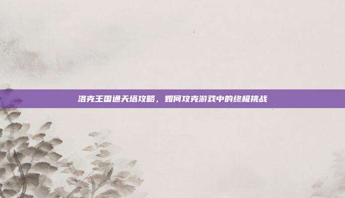 洛克王国通天塔攻略,如何攻克游戏中的终极挑战