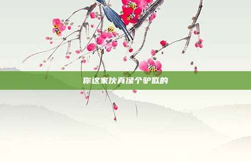 你这家伙真像个驴似的