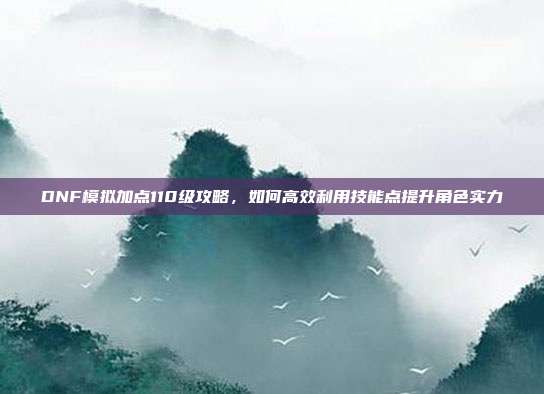 DNF模拟加点110级攻略,如何高效利用技能点提升角色实力