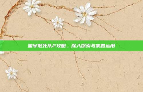 盟军敢死队2攻略,深入探索与策略运用