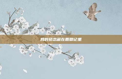 我的初恋藏在鹿鼎记里