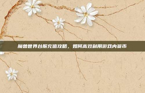 魔兽世界台服充值攻略,如何高效利用游戏内货币