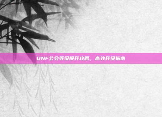 DNF公会等级提升攻略,高效升级指南
