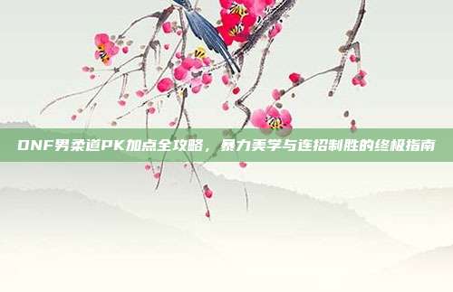 DNF男柔道PK加点全攻略,暴力美学与连招制胜的终极指南