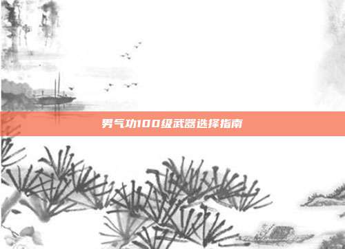 男气功100级武器选择指南