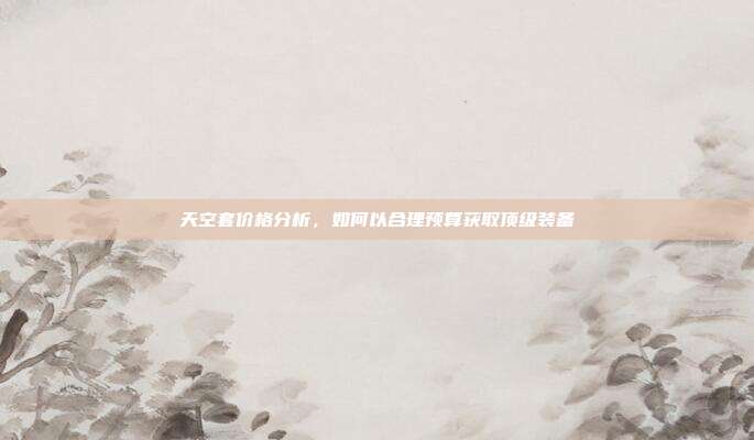 天空套价格分析,如何以合理预算获取顶级装备