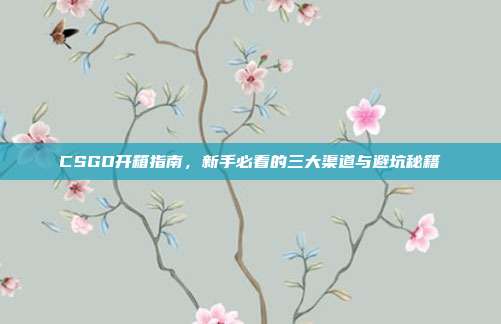CSGO开箱指南，新手必看的三大渠道与避坑秘籍
