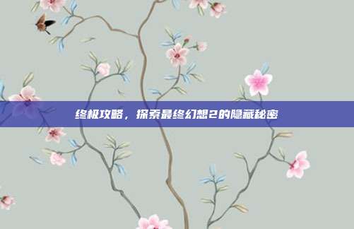 终极攻略,探索最终幻想2的隐藏秘密